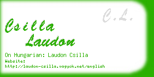 csilla laudon business card